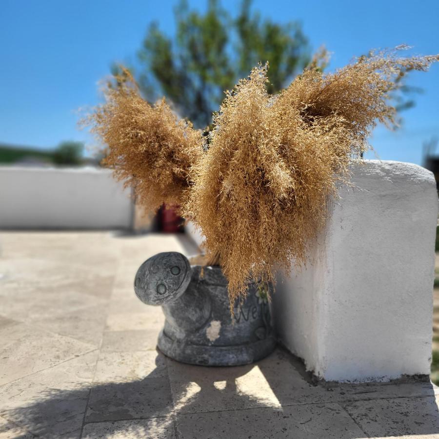 מוריגיול 5 Chirpici - Small Traditional Resort מראה חיצוני תמונה